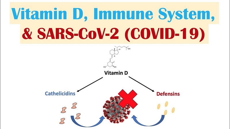 Tác dụng của vitamin D với chức năng hệ miễn dịch-2
