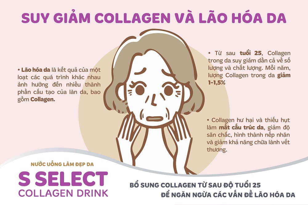 Nước uống làm đẹp da S Select Collagen Drink (Hộp 10 lọ) - 3