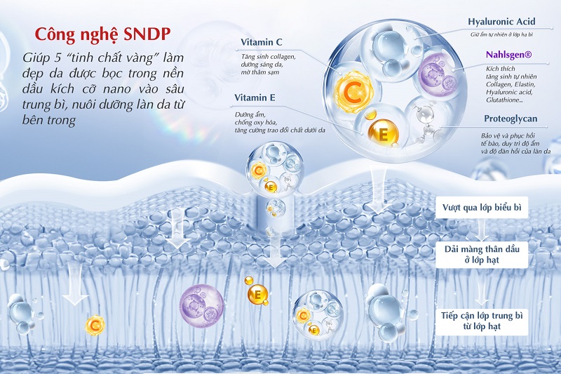 Công nghệ SNDP là gì? Cơ chế và tác động đối với làn da - 2