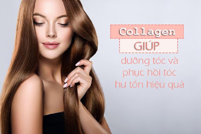 [REVIEW] Dầu gội collagen nào tốt? Gợi ý các loại dầu gội collagen cho tóc dầu, tóc khô và hư tổn