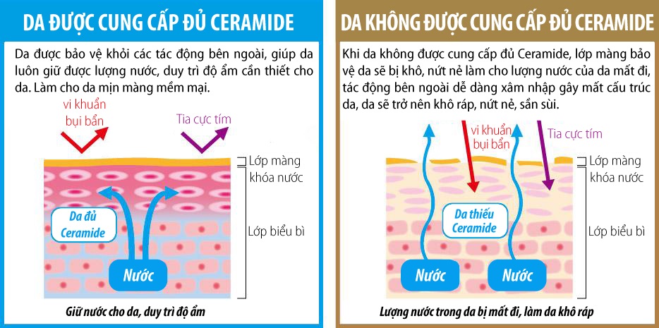 Kem dưỡng ẩm chống nứt nẻ da cho bé To-Plan Okosama Cream (Hũ 30g)-2