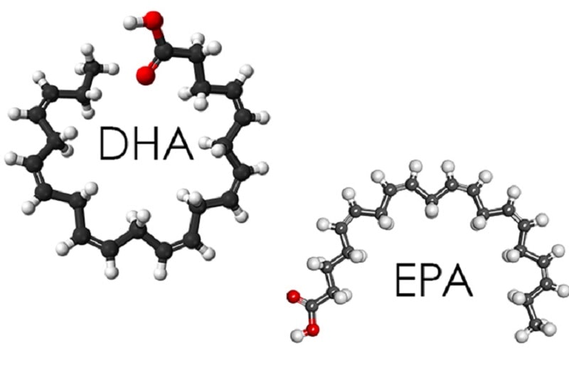 [TƯ VẤN] Omega 3 là gì? EPA và DHA là gì? DHA có nhiều trong thực phẩm nào? Những thực phẩm giàu DHA cho trẻ? Thực phẩm giàu Omega 3 và DHA cho bà bầu-3